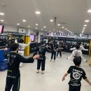 용인대 수 합기도장 이미지