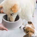 자유실업(주)