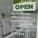 트리밍온클 | 광주 북구 풍향동 트리밍온클 애견미용 내돈내산 솔직 후기