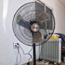 이프멍멍 네이버블로그