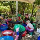 본리어린이공원 소  이미지