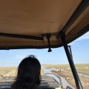 세렝게티 | 관광100 휴양0 세렝게티 신혼여행 후기