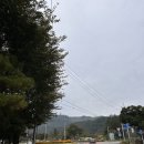 소양댐시민숲공원 | [춘천여행 가볼 만한 곳] 소양강댐 카페거리 &amp; 소양댐시민의 숲 (feat. 여름 물놀이장, 가을 산책길)
