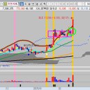 지엔씨메디칼 이미지