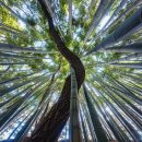 고창읍성
매표소 앞 | 고창 가볼만한곳, 고창읍성 맹종죽림 대나무를 찾아