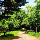 기내미재 이미지