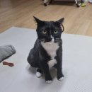 정훈동물병원 이미지