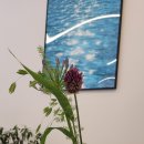 오,선데이(Oh,Sunday) 이미지