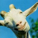 하나비의원 이미지