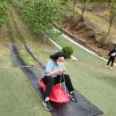 마린태권도장 이미지