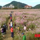 대평수산 이미지