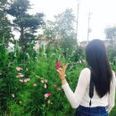 43번가 게스트하우스 이미지