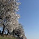 우두동 자전거쉼터 | 춘천 벚꽃명소 마장달빛교 우두동 산책코스