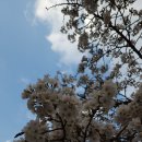 임월교 앞 이미지