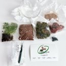 뿌리목장 | 풀퍼센트 테라리움키트 만들기, 양떼목장에서 힐링하는 시간