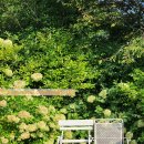 포포 스테이 이미지