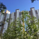 제일슈퍼마켓 이미지