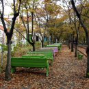 백세민박 이미지