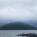석모포레