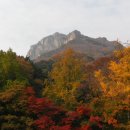 백양사 이미지