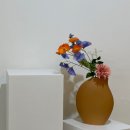 나화너2