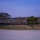 영산식품