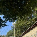 아트선재센터 서도호 스페큘레이션스 전시 후기