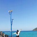 소노벨 타워 A.B 제주 | 소노벨 제주 가족여행 내돈내산 함덕숙소 스위트 후기