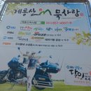 계룡산묵사랑 이미지