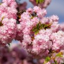 연세봄의원 이미지