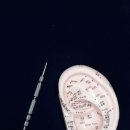 서울장신대학교 자연치유선교대학원 이미지