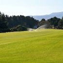 골프존카운티 오라 (회원제) 이미지