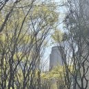 그랜드 | 더파티움 여의도 그랜드 컨벤션홀 하객후기