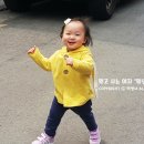 (주)키즈팡팡 이미지
