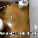 하수구 막히는 다양한 원인 (더러운 캡쳐 주의) 이미지