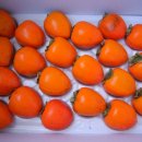 배감농장 이미지