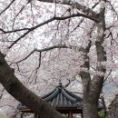 굿모닝광주