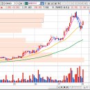 리켐코리아 이미지