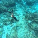 (주)플러스컴 | 인천공항 고프로 대여 컴마 고프로 13 플러스 해외여행 준비물