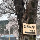 번영식당 이미지
