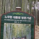 죽녹원 이미지