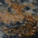 금정분식 이미지