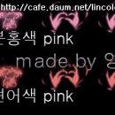 핑크홀리 이미지