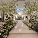 Wedding28. 결혼식 총비용 얼마나 들까? 본식 D-46 현시점 지출 총공개