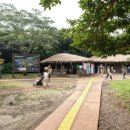 문화광장(공원) | 제주에서 만나는 돌의 세계, 제주 돌문화공원 방문 후기