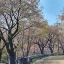 내죽회관 네이버블로그