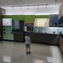 구상문학관 | 구상문학관과 구상·이중섭 우정의 거리 방문 후기