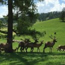 병인농장 이미지