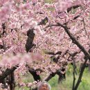 선대농장 이미지