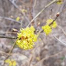 해안초교 병설유치원 이미지